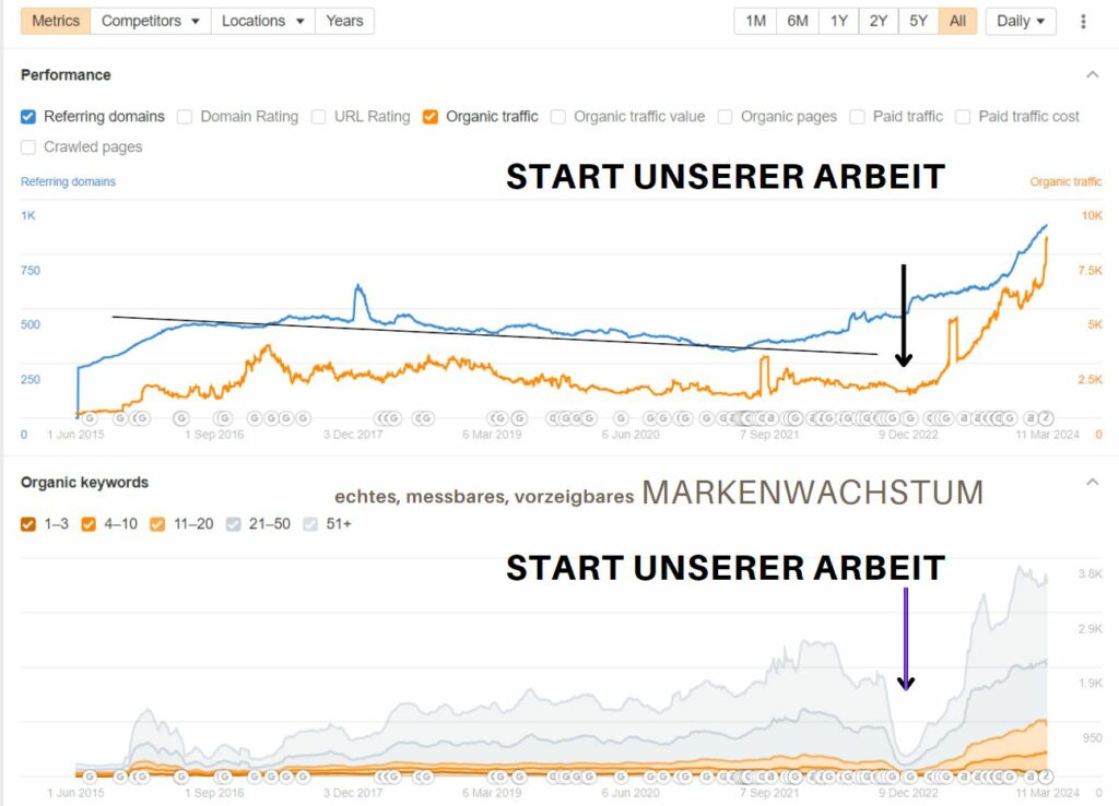 SEO-BLOG Referenz